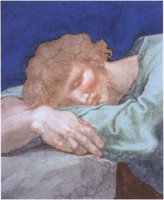 Lorenzo Lotto, Head of Jacob, Stanza di Eliodoro